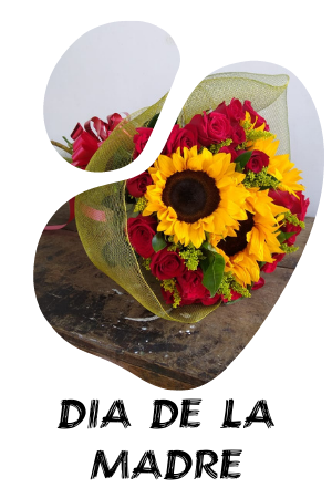 Dia de la madre