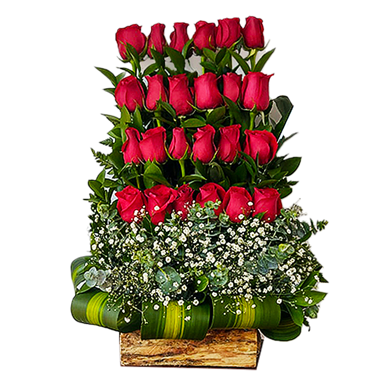 Bellas Rosas - Floristería en Barranquilla